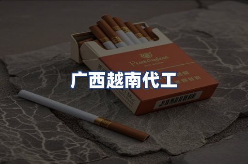 广西越南代工